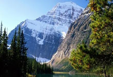 乐鱼体育-阿尔希拉尔主场迎战鹿岛鹿角，锋线火力引爆看点