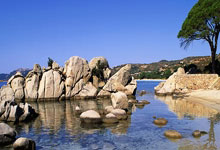 乐鱼-帕尔梅拉斯新星爆发，挑战蒙特雷防线坚固