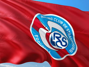 乐鱼app-帕尔梅拉斯多线作战阵容调整,保证体能充沛