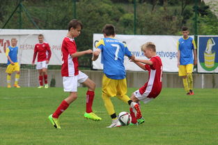 乐鱼官网-塔斯马尼亚联新援适应良好,世俱杯表现备受期待