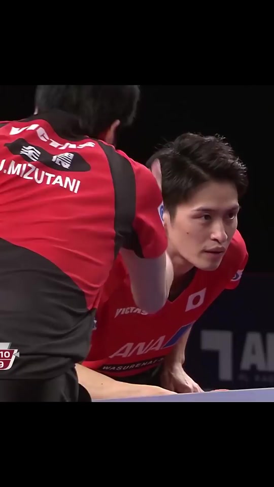 乐鱼app-关于比利时乒乓球队绝杀日本乒乓球队,许昕送出助攻的信息